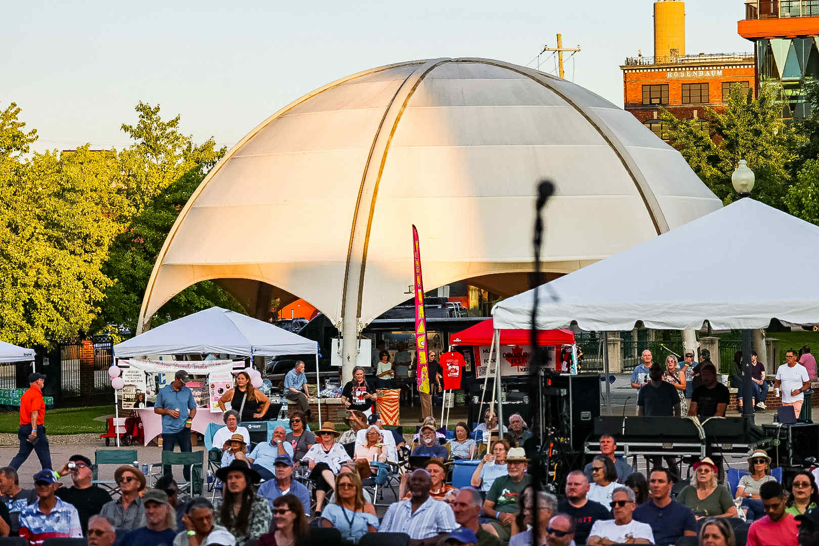 Blues festival crowd