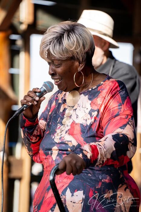 Blues Fest 2026 photo 14